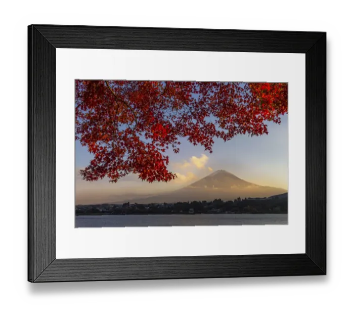 Framed Print : Fuji in autumn season Framed Print : Fuji in autumn season