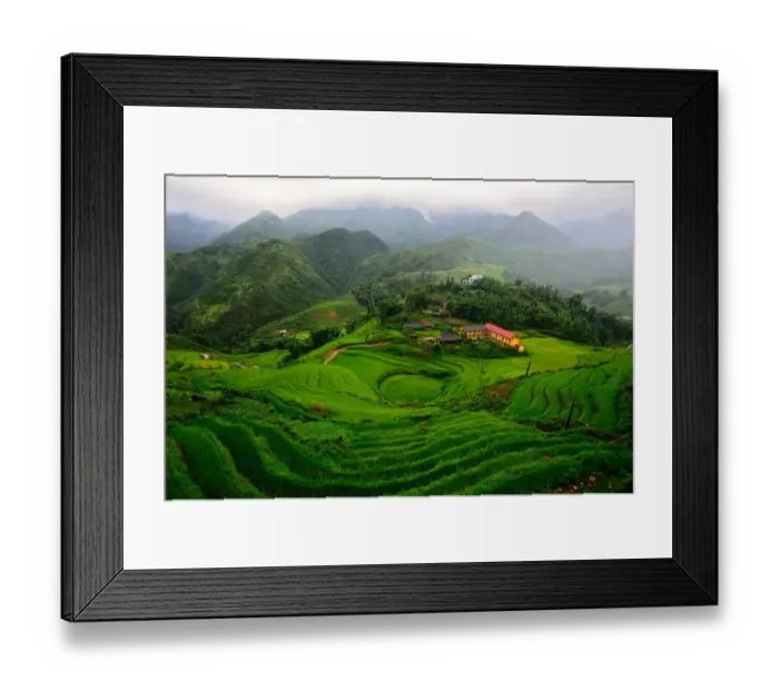Framed Print : Rice terrace in Sapa Framed Print : Rice terrace in Sapa