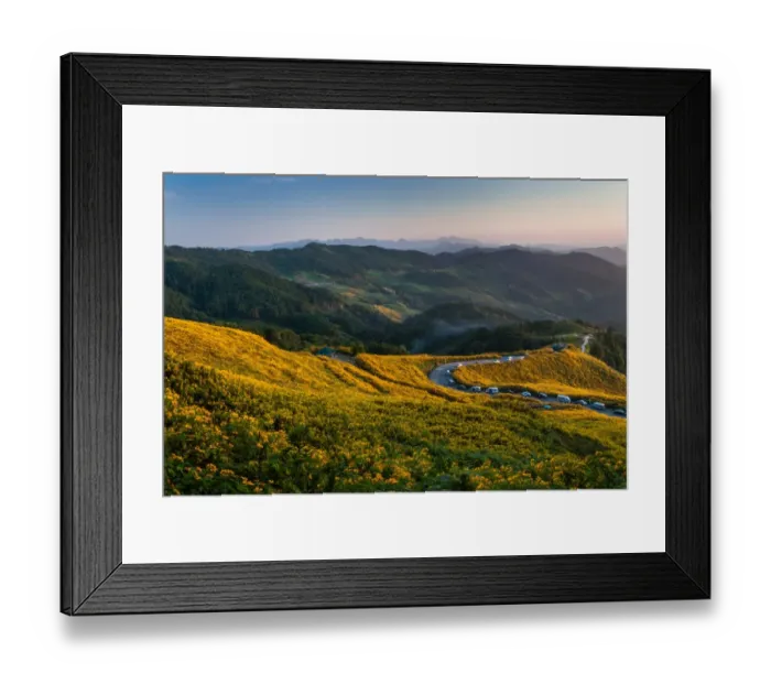 Framed Print : Maxican sunflowers field