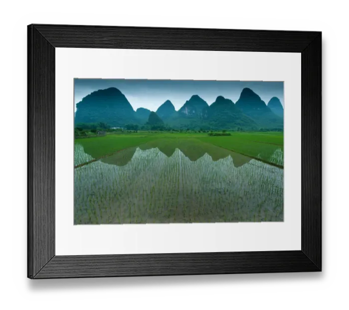 Framed Print : Rice field in Yangshuo