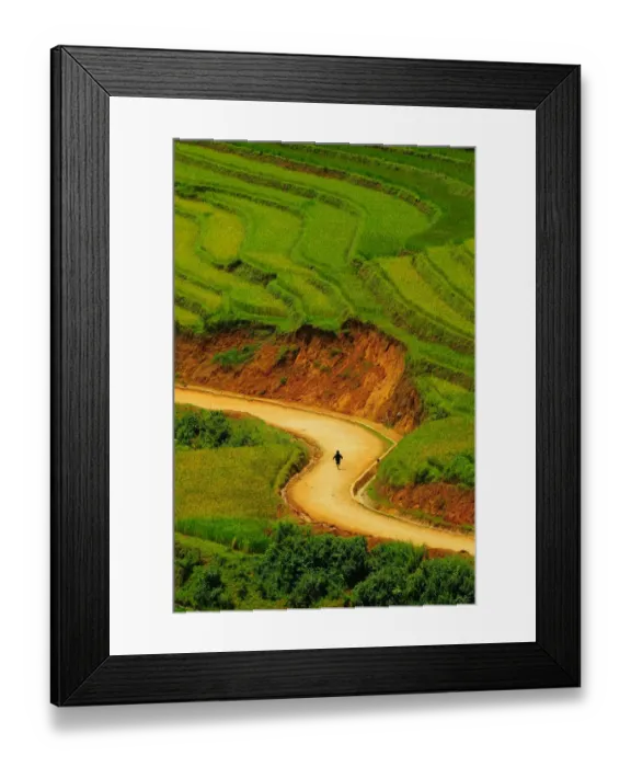Framed Print : Rice terrace Framed Print : Rice terrace