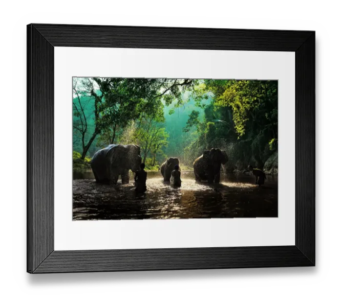 Framed Print : Elephant bath Framed Print : Elephant bath