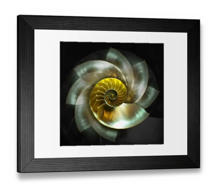 Framed Print : Spinning Nautilus