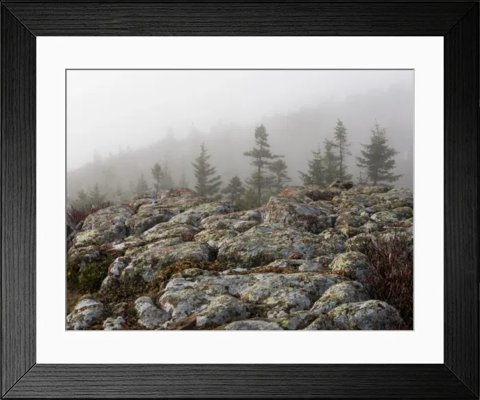 Framed Print : Foggy mountain landscape Framed Print : Foggy mountain landscape