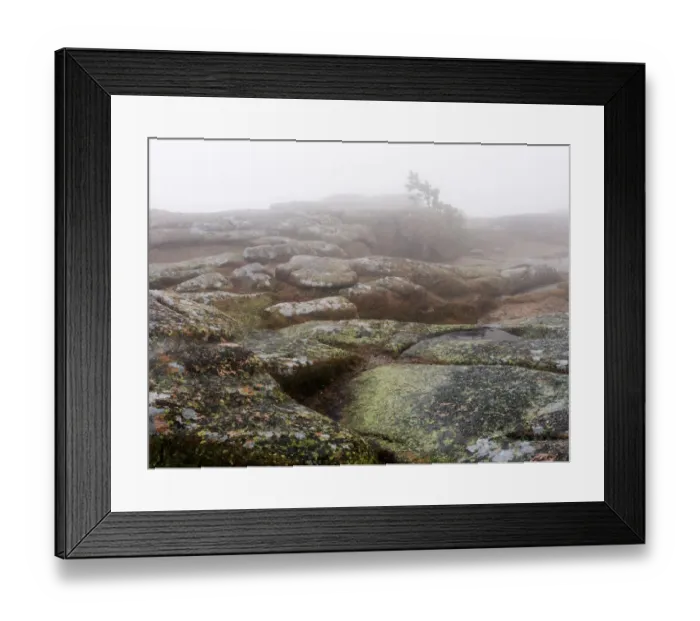 Framed Print : Foggy day. Foggy landscape on top of Cadillac Mountain in Acadia National Framed Print : Foggy day. Foggy landscape on top of Cadillac Mountain in Acadia National