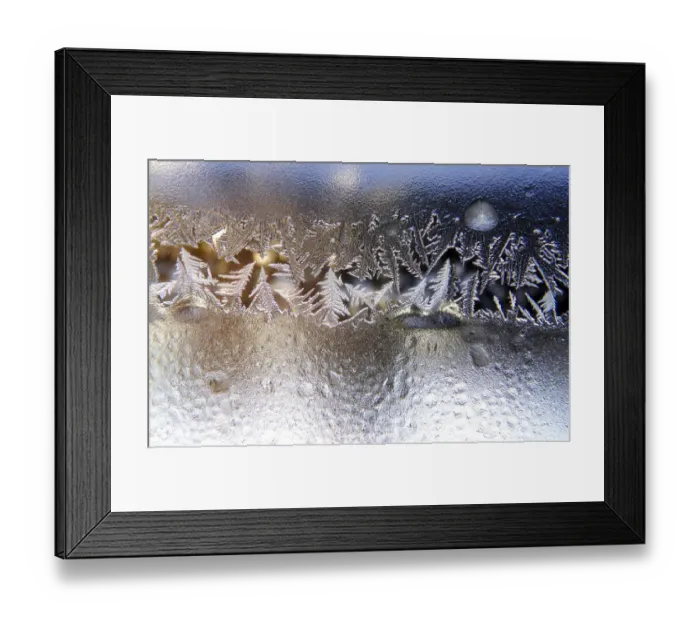 Framed Print : Frost trees Framed Print : Frost trees