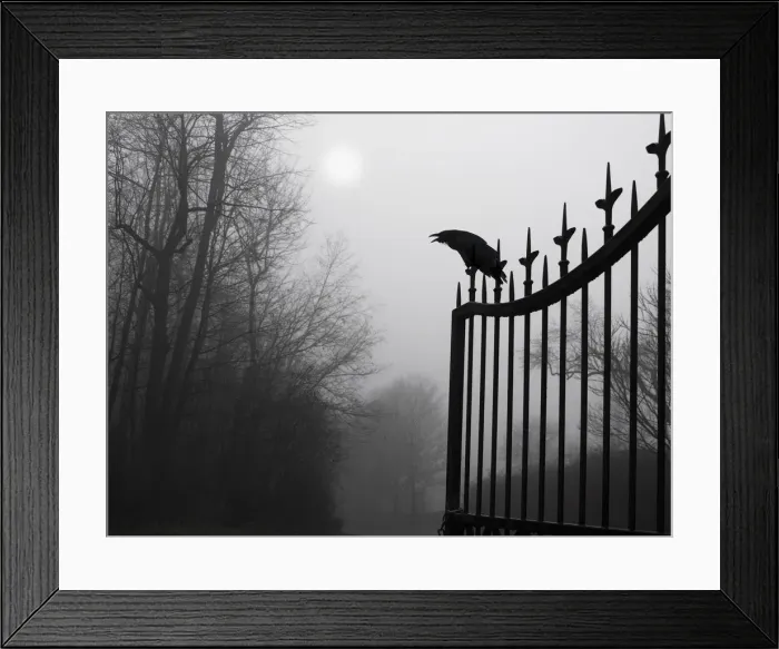 Framed Print : graveyard guardian Framed Print : graveyard guardian
