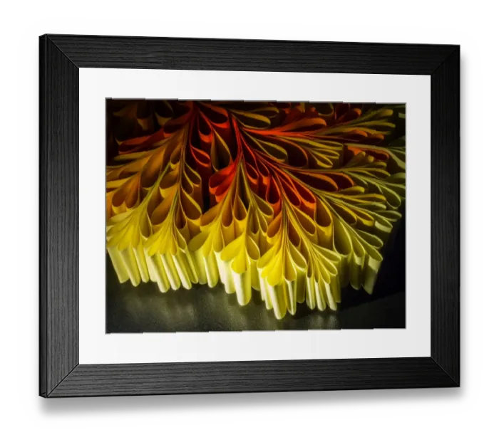 Framed Print : top of a paper tree Framed Print : top of a paper tree