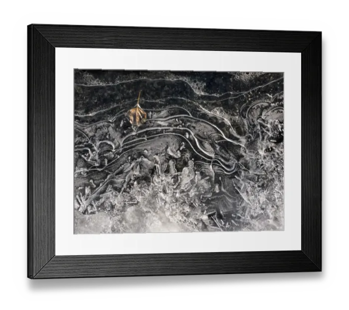 Framed Print : Cryogenic leaf - entombed in ice Framed Print : Cryogenic leaf - entombed in ice