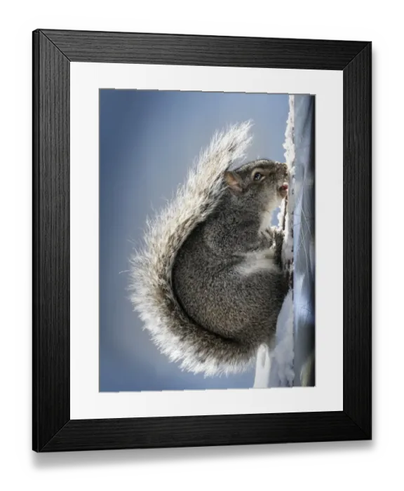 Framed Print : Mom! I m stuck Framed Print : Mom! I m stuck