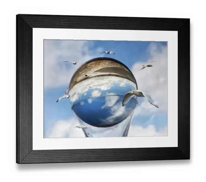 Framed Print : Gulls circumnavigating the world Framed Print : Gulls circumnavigating the world