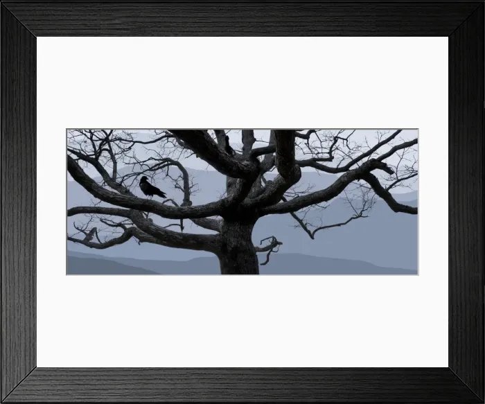 Framed Print : Winters bones Framed Print : Winters bones