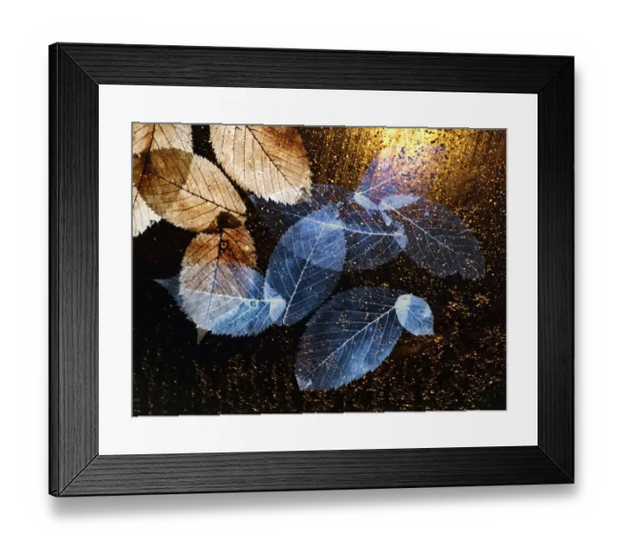 Framed Print : Golden leaves Framed Print : Golden leaves