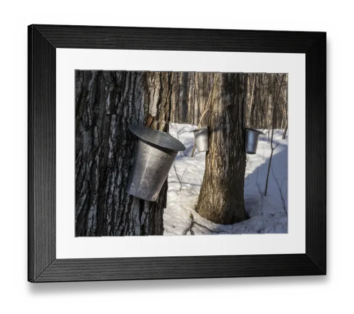 Framed Print : Metal buckets Framed Print : Metal buckets