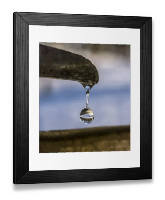 Framed Print : its maple syrup time Framed Print : its maple syrup time