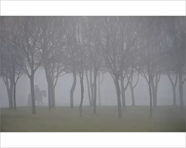 Horseman in the fog