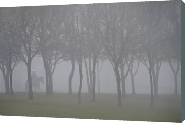 Horseman in the fog