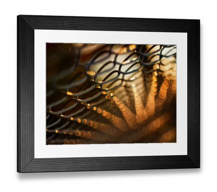 Framed Print : golden rays Framed Print : golden rays