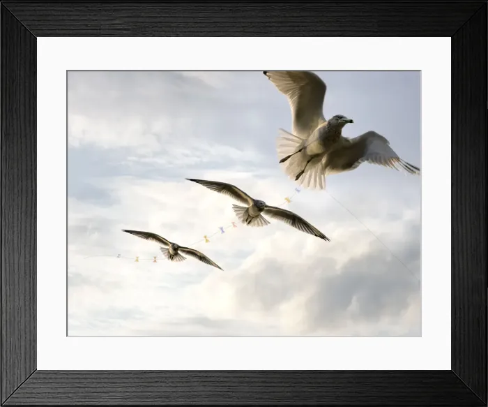 Framed Print : high as a kite Framed Print : high as a kite