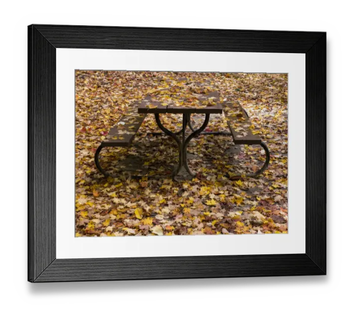 Framed Print : camouflaged pic nic table Framed Print : camouflaged pic nic table