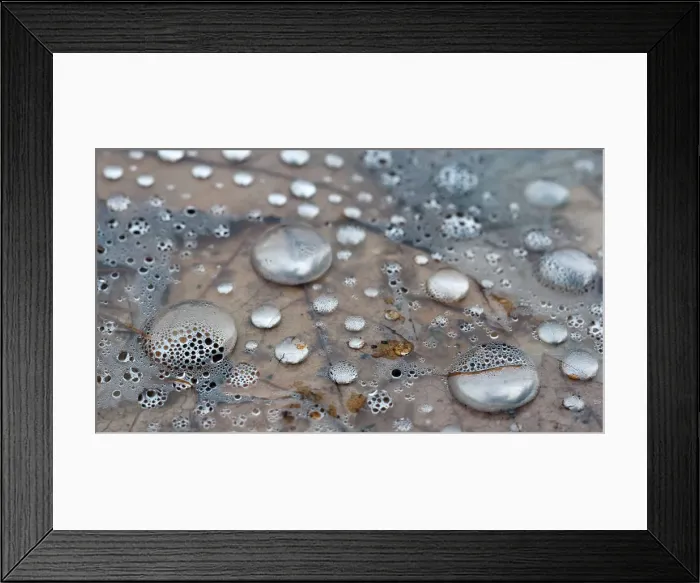 Framed Print : silvery droplets Framed Print : silvery droplets