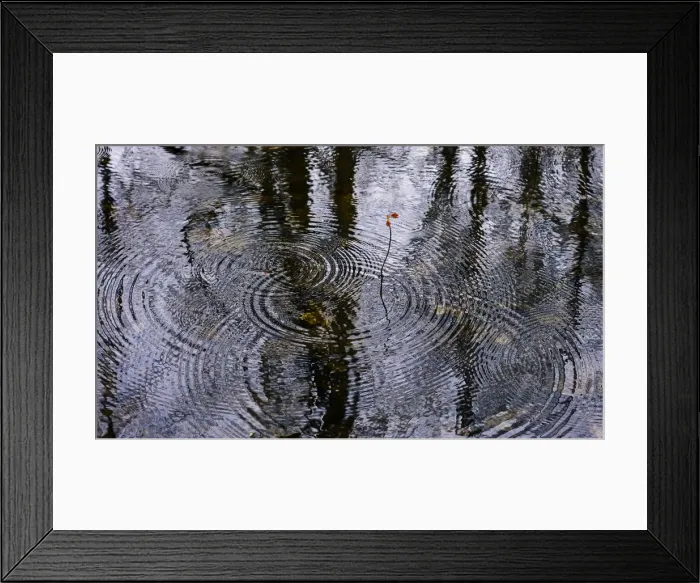 Framed Print : Rain ripples Framed Print : Rain ripples