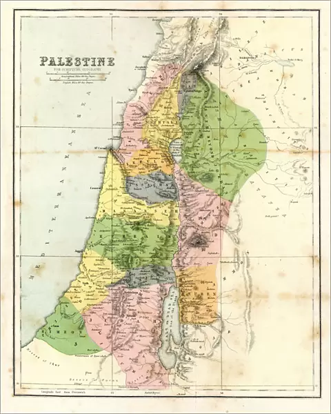 Antique Map - Biblical Palestine
