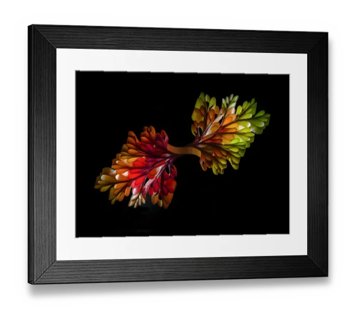 Framed Print : paper lungs Framed Print : paper lungs