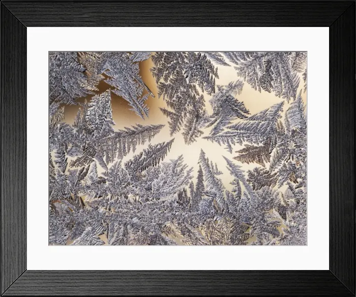 Framed Print : a circle of frost trees