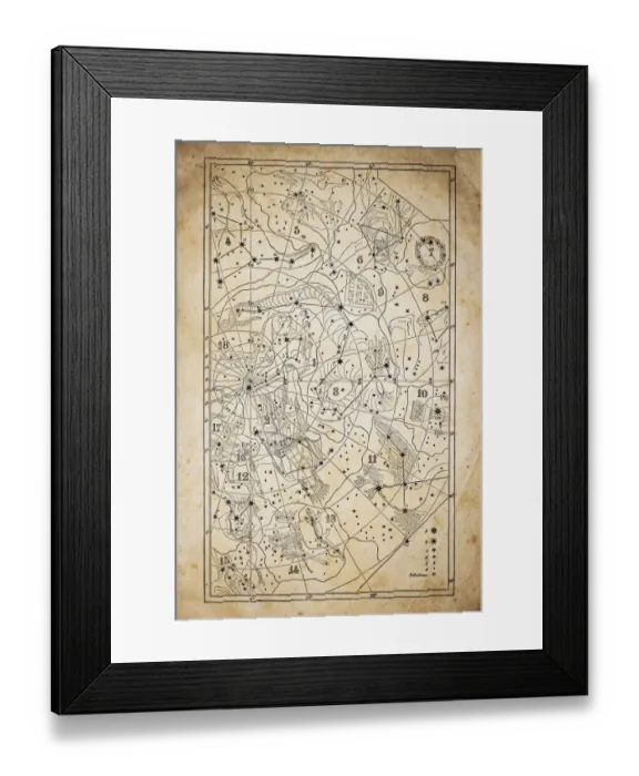 Framed Print : Antique illustration on yellow aged paper: zodiac astrology constellations (series 9)