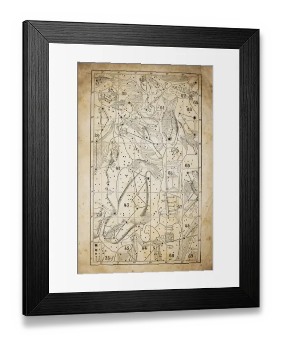Framed Print : Antique illustration on yellow aged paper: zodiac astrology constellations (series 4) Framed Print : Antique illustration on yellow aged paper: zodiac astrology constellations (series 4)