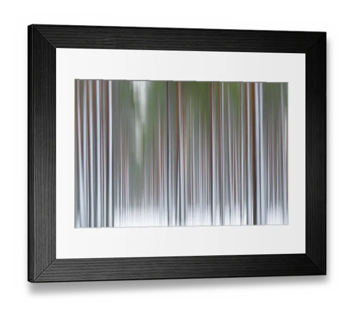 Framed Print : The abstract details of tree trunks Rovaniemi Lapland Finland Framed Print : The abstract details of tree trunks Rovaniemi Lapland Finland