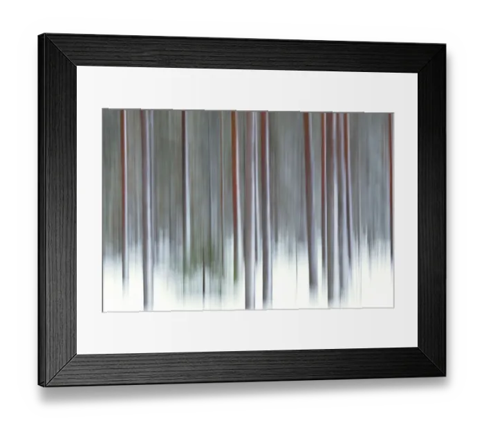 Framed Print : The abstract details of tree trunks Rovaniemi Lapland Finland Framed Print : The abstract details of tree trunks Rovaniemi Lapland Finland