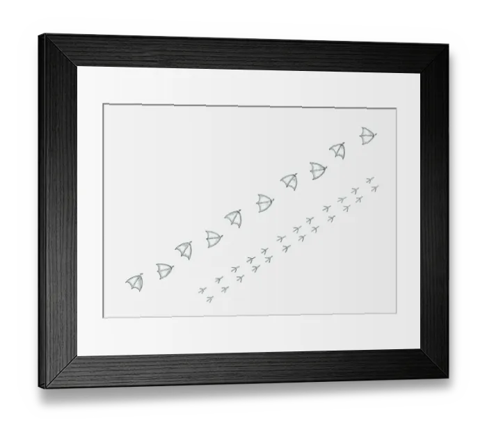 Framed Print : Black and white illustration of Goose walking tracks and Finch hopping tracks Framed Print : Black and white illustration of Goose walking tracks and Finch hopping tracks