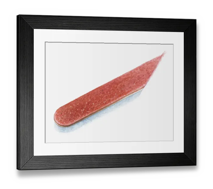 Framed Print : Illustration of and emery board, close-up Framed Print : Illustration of and emery board, close-up