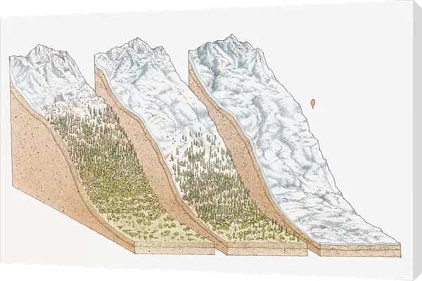 Illustration of global snowlines, on the equator (Mount Kenya); the European Alps, and in polar regions (Mount Vinson, Antarctica)
