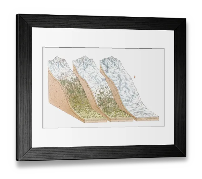 Framed Print : Illustration of global snowlines, on the equator (Mount Kenya); the European Alps, and in polar regions (Mount Vinson, Antarctica) Framed Print : Illustration of global snowlines, on the equator (Mount Kenya); the European Alps, and in polar regions (Mount Vinson, Antarctica)