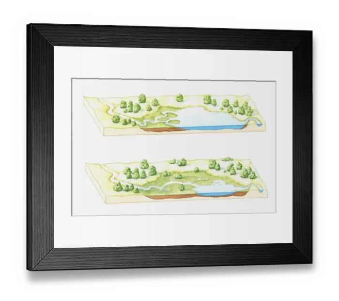 Framed Print : Illustration of a lake being filled with sediment deposited by rivers, eventually forming a marsh, bog or swamp (image sequence) Framed Print : Illustration of a lake being filled with sediment deposited by rivers, eventually forming a marsh, bog or swamp (image sequence)