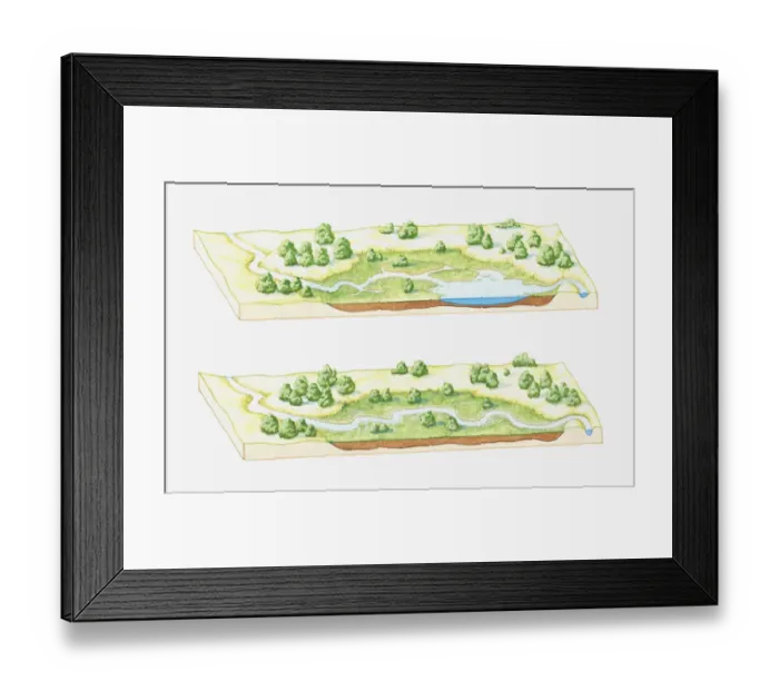 Framed Print : Illustration of a lake being filled with sediment deposited by rivers, eventually forming a marsh, bog or swamp (image sequence) Framed Print : Illustration of a lake being filled with sediment deposited by rivers, eventually forming a marsh, bog or swamp (image sequence)