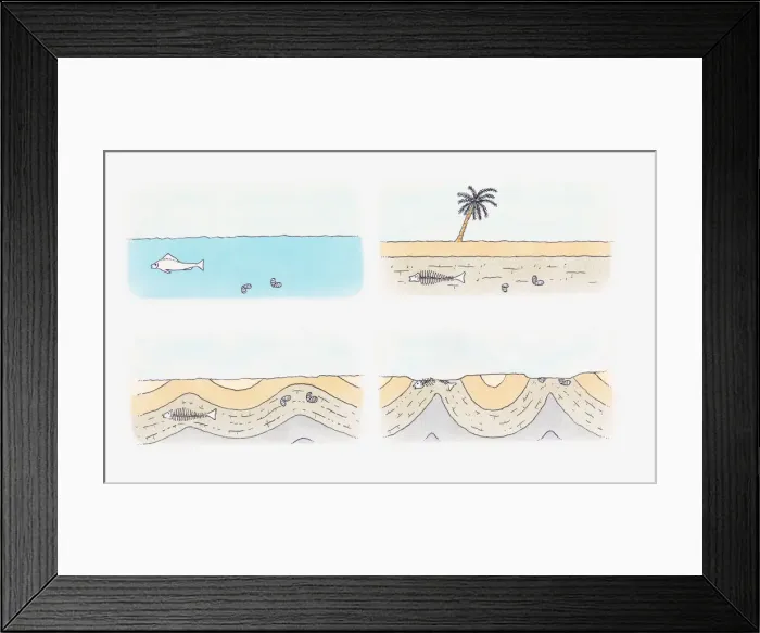 Framed Print : Illustration of formation of a fossil, from preservation to discovery Framed Print : Illustration of formation of a fossil, from preservation to discovery