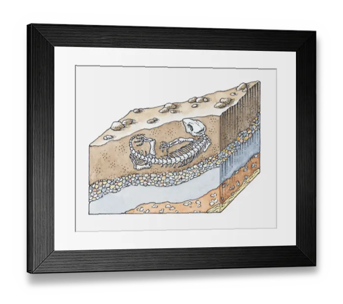 Framed Print : Illustration of formation of a fossil Framed Print : Illustration of formation of a fossil