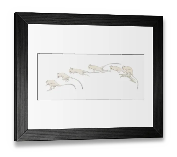 Framed Print : Illustration of a Spectral tarsier (Tarsius spectrum) leaping through the air Framed Print : Illustration of a Spectral tarsier (Tarsius spectrum) leaping through the air