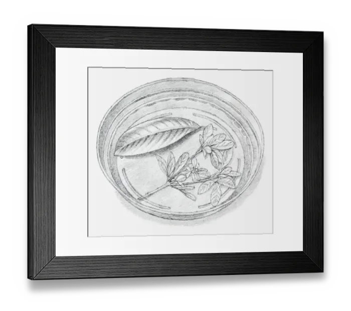 Framed Print : Black and white illustration of leaves being preserved in a dish containing a mixture of glycerine and water
