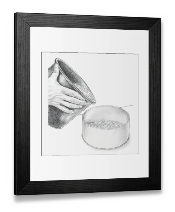Framed Print : Black and white illustration of hand holding bucket of blue silica gel crystals and pouring into base of biscuit tin (drying flowers using desiccant)