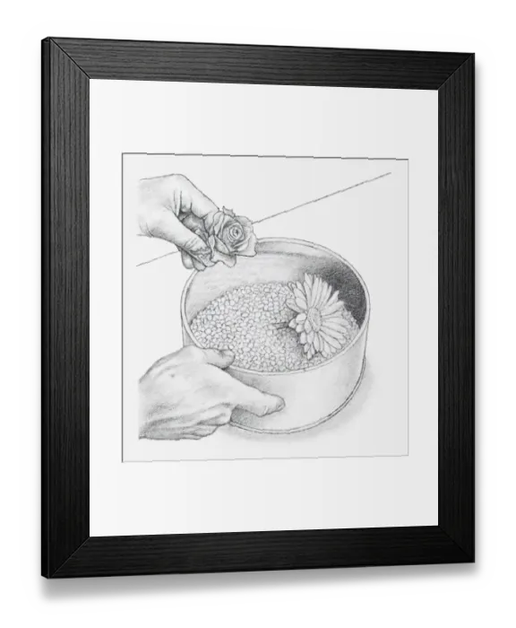 Framed Print : Black and white illustration of hand placing flower heads, wired or with short stalks, on bed of silica gel crystals (drying flowers using desiccant) Framed Print : Black and white illustration of hand placing flower heads, wired or with short stalks, on bed of silica gel crystals (drying flowers using desiccant)