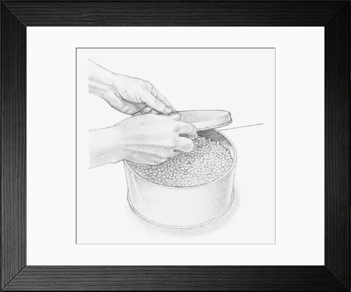 Framed Print : Black and white illustration of hand placing lid onto tin, containing flowers covered with silica gel crystals (drying flowers using desiccant) Framed Print : Black and white illustration of hand placing lid onto tin, containing flowers covered with silica gel crystals (drying flowers using desiccant)