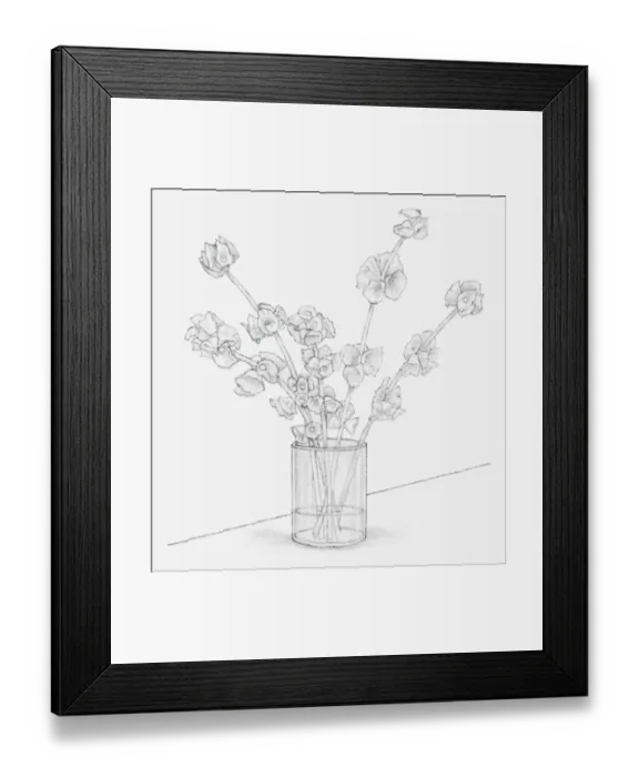 Framed Print : Black and white illustration of Moluccella stems in a vase containing glycerine and water mixture, after 10 days (preserving flowers) Framed Print : Black and white illustration of Moluccella stems in a vase containing glycerine and water mixture, after 10 days (preserving flowers)