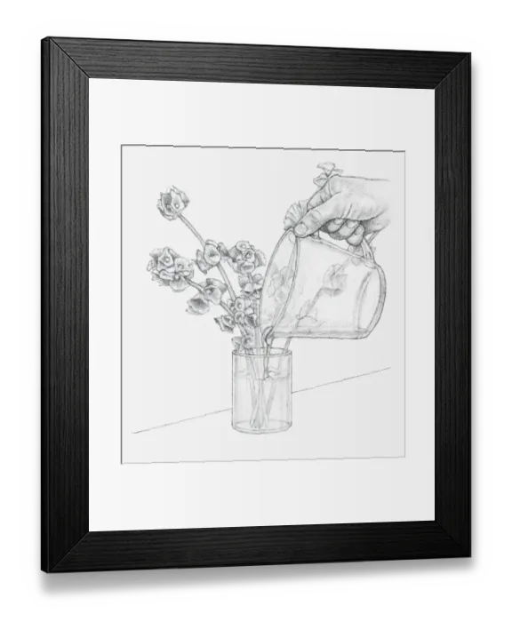 Framed Print : Black and white illustration of hand pouring glycerine and water mixture in vase containing Moluccella stems (preserving flowers) Framed Print : Black and white illustration of hand pouring glycerine and water mixture in vase containing Moluccella stems (preserving flowers)