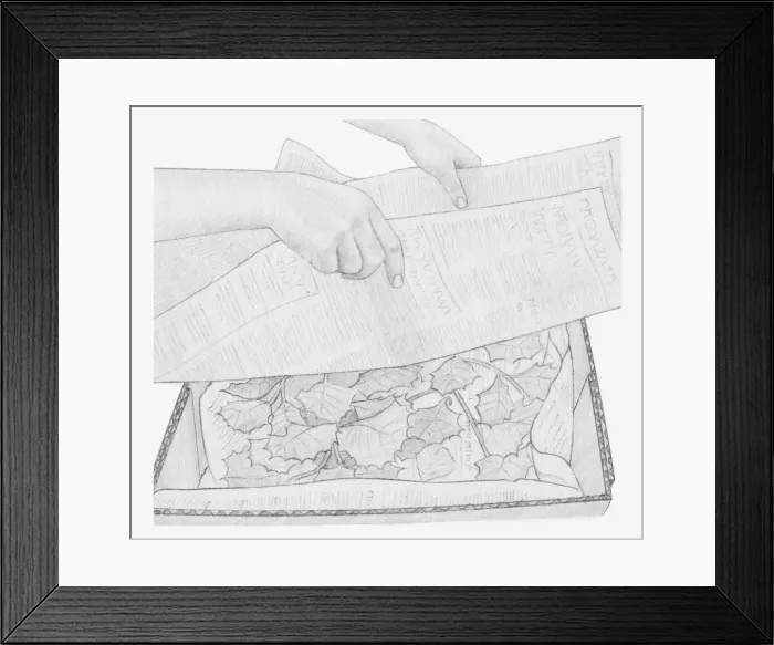 Framed Print : Black and white illustration of dried leaves in box, being covered with newspaper (storing dried plants)