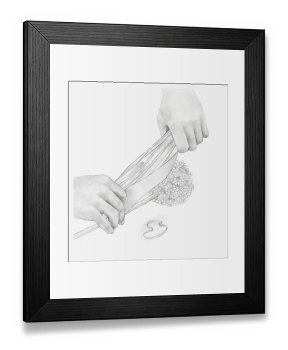 Framed Print : Black and white illustration of hands wrapping a dried onion seed head in tissue paper (storing dried flowers) Framed Print : Black and white illustration of hands wrapping a dried onion seed head in tissue paper (storing dried flowers)